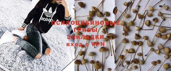 СК Богданович