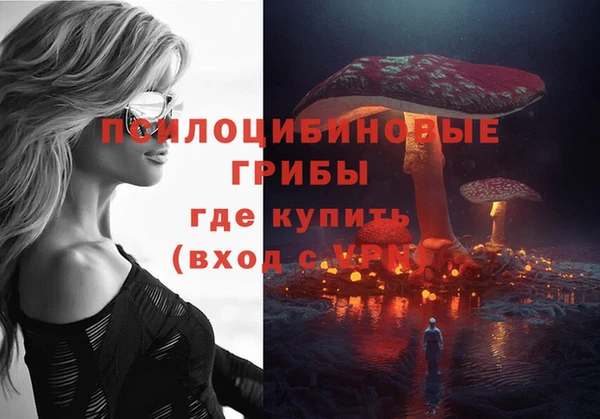 синтетический гашиш Богородск