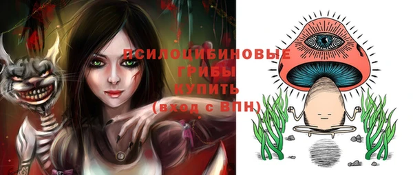 синтетический гашиш Богородск