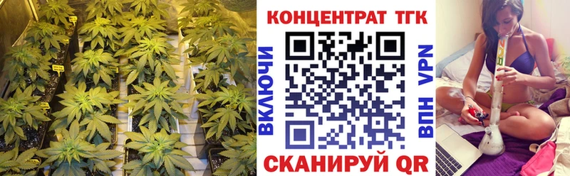 Дистиллят ТГК гашишное масло  Купить где  Бакал 